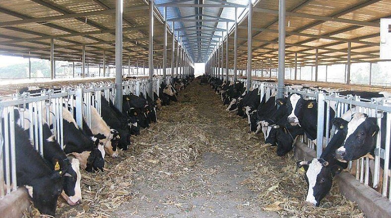 艾思捷定制款PGV035系列減速機--應用在畜牧業、飼料行業 (2).jpg